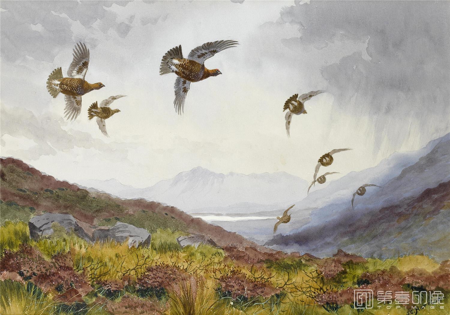 油画-约翰.赛里尔·哈里森 John Harrison作品集-130